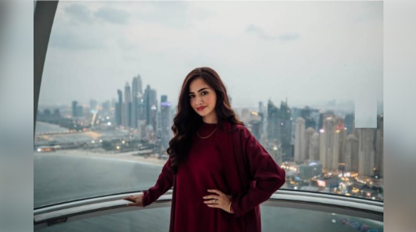 FIA Fails to Find Evidence in Sana's Defamation Case 