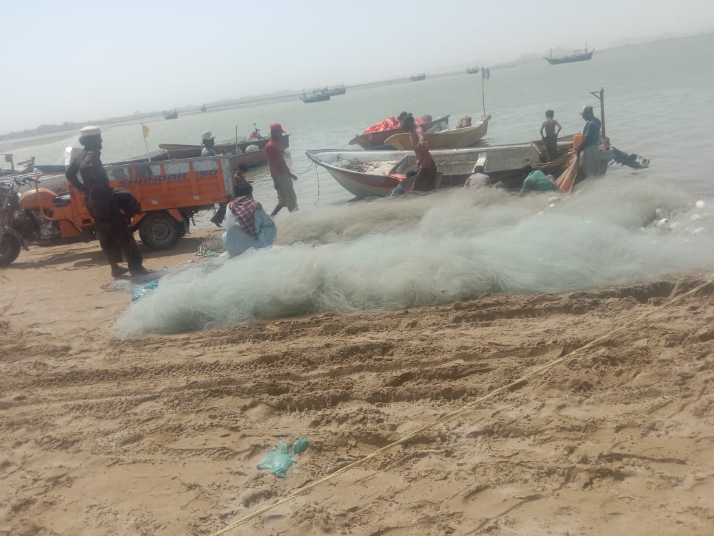 Plastic Pollution Endangers Balochistan’s Marine Life