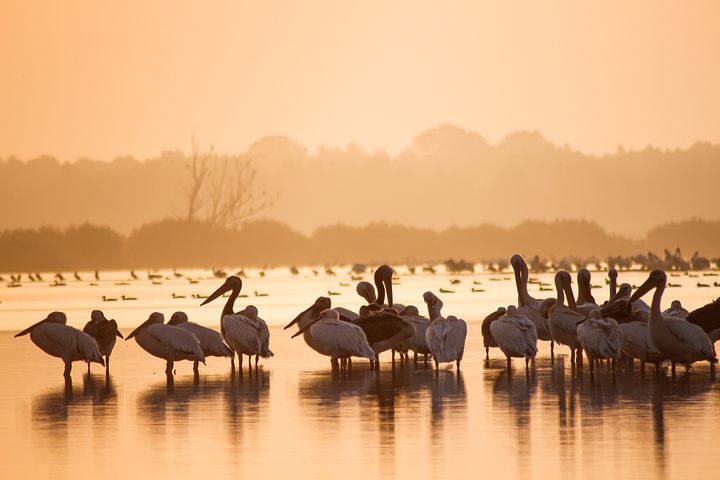 World Deltas Under Threat Against Rising Climate Impact