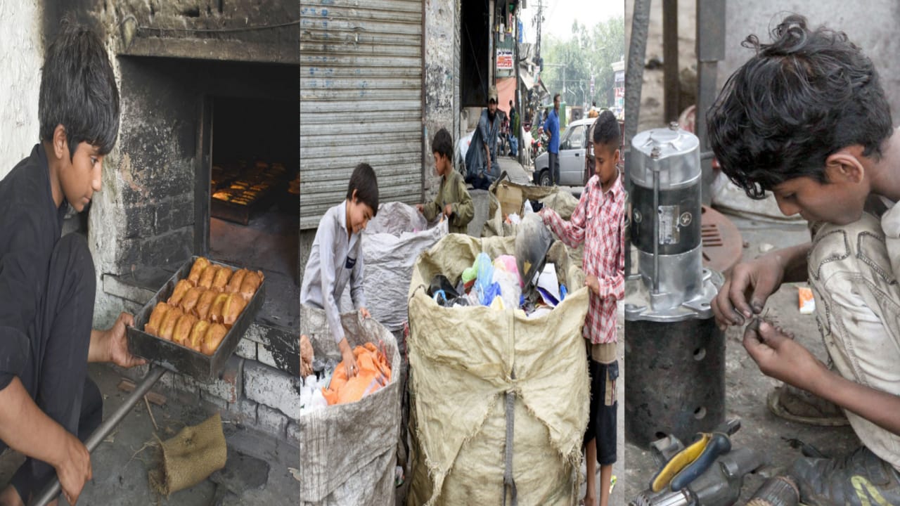 The Unsung Heroes!