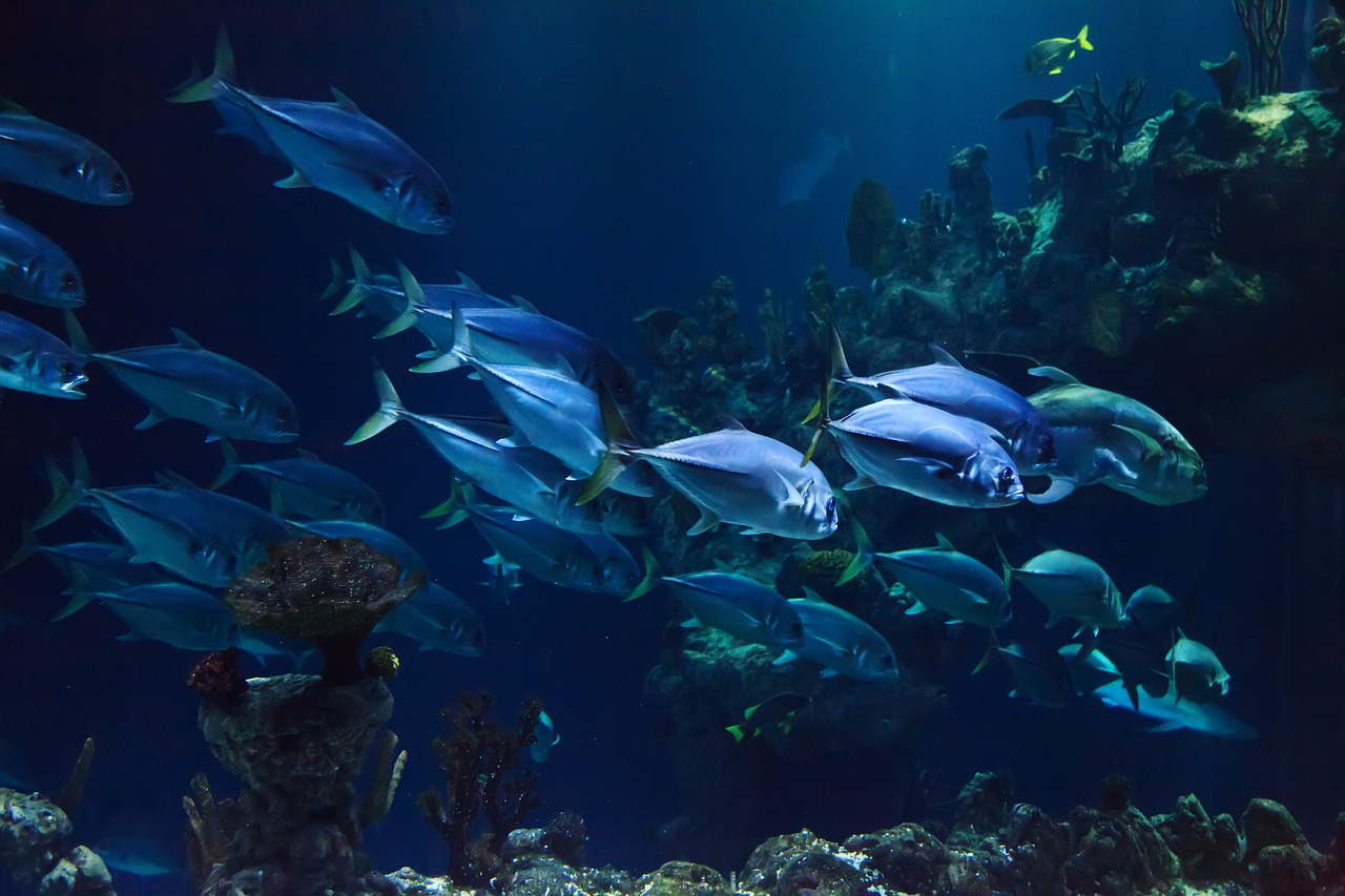 Why Is Deep Sea Descent More Difficult Than Space Travel?
