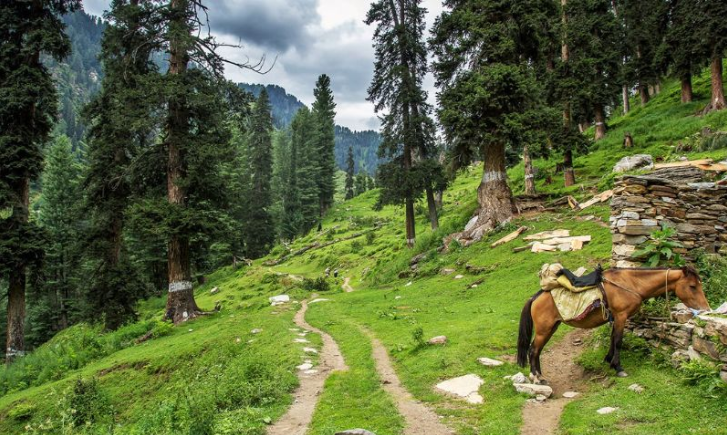 Tourists Throng Malam Jabba To Unwind City Life