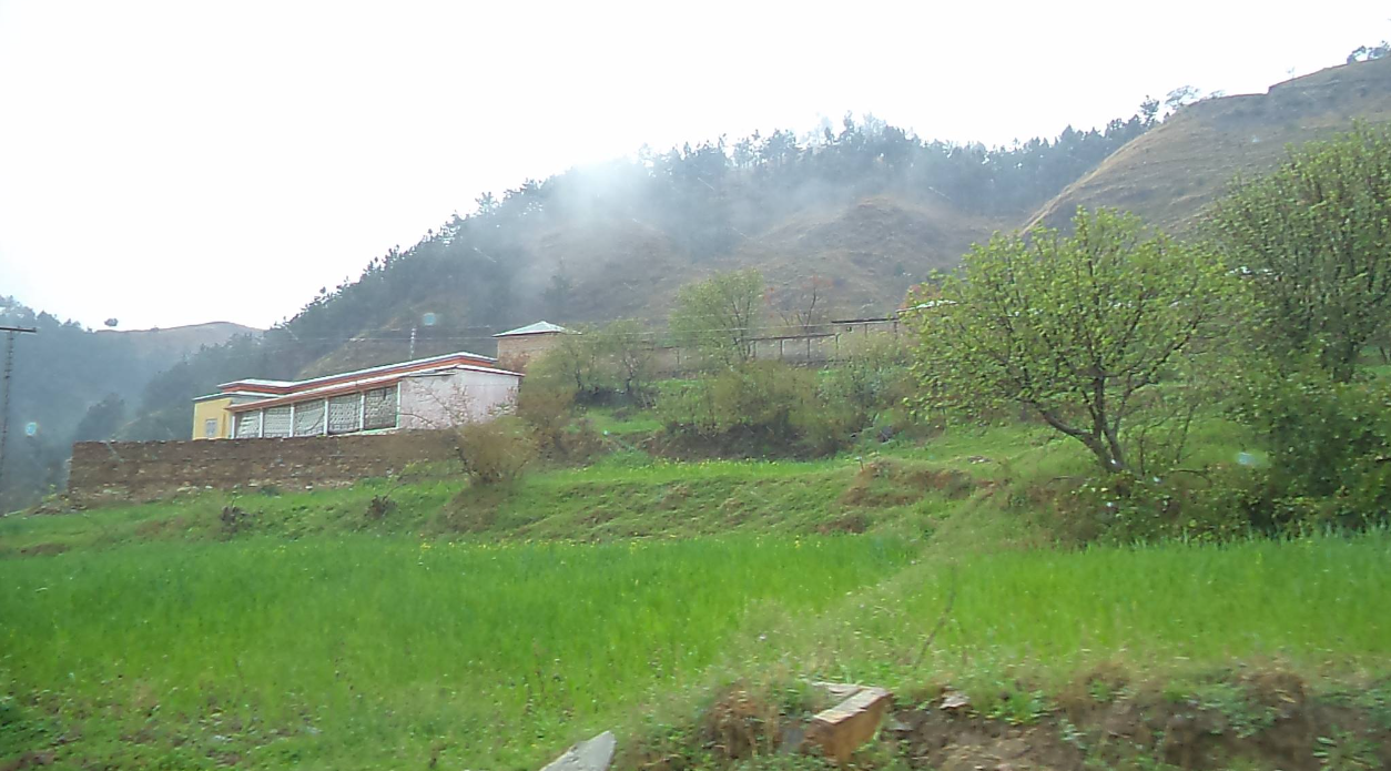 Back to the Village of My Birth