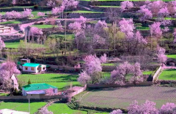 Glimpsing GB's Beauty Culture in Spring