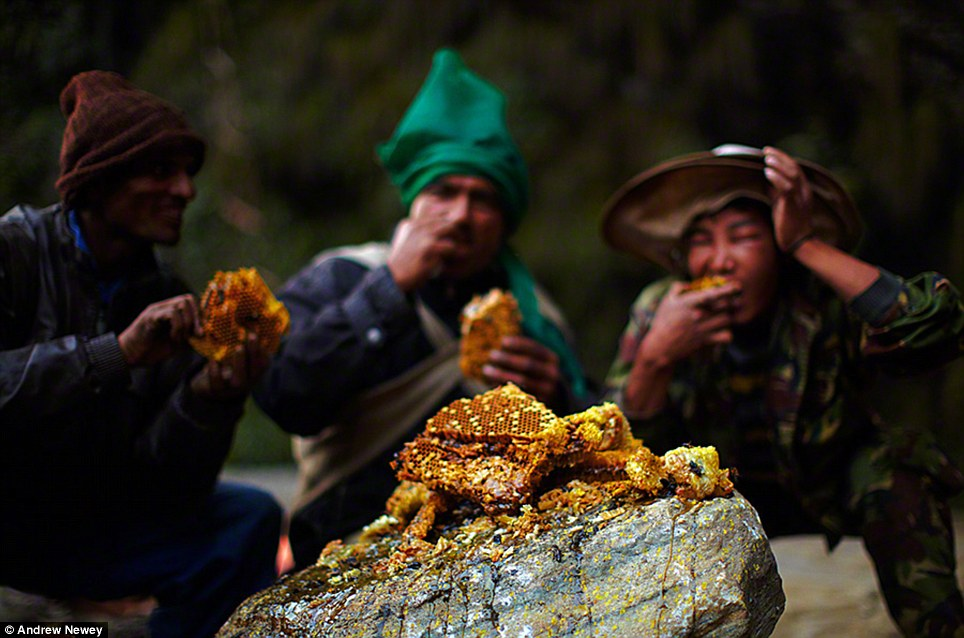 Climate Change Hits Nepal's Honey Hunters