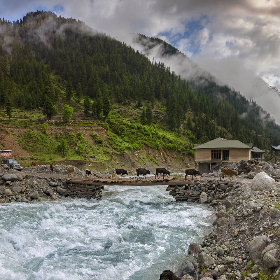 
Among these, the Neelum Valley, located in Azad Jammu and Kashmir (AJK),